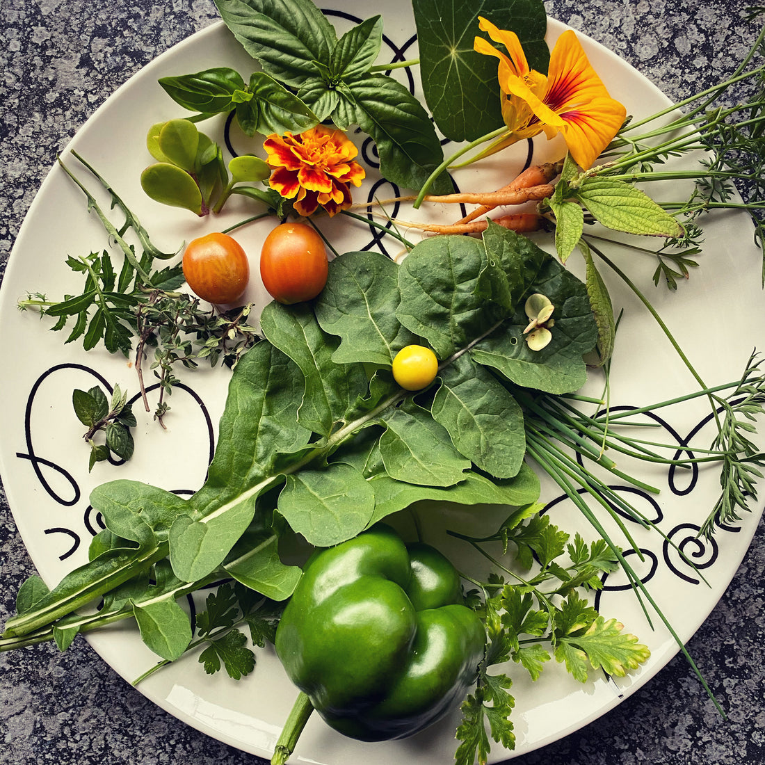 Our first Harvests