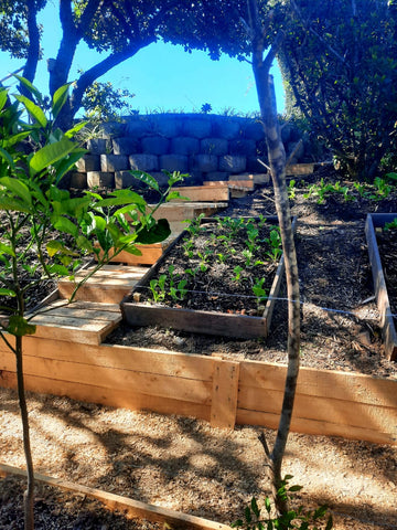 Food Forest Hack! Create Epic Paths