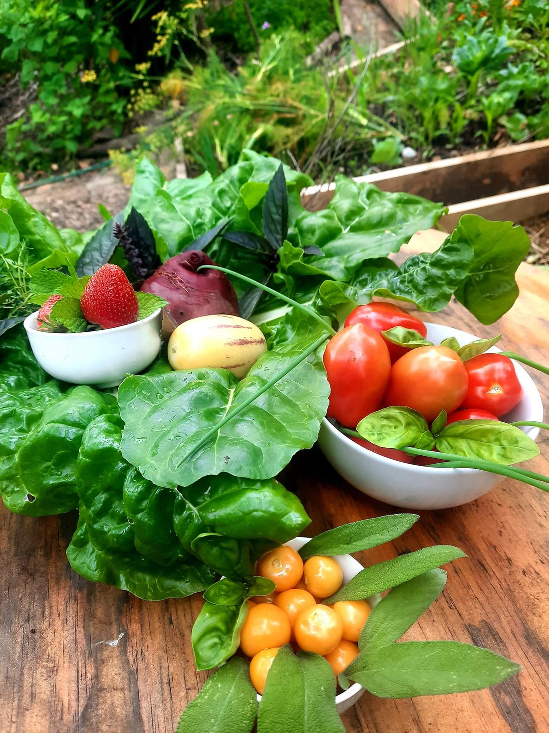 Harvesting our own Food