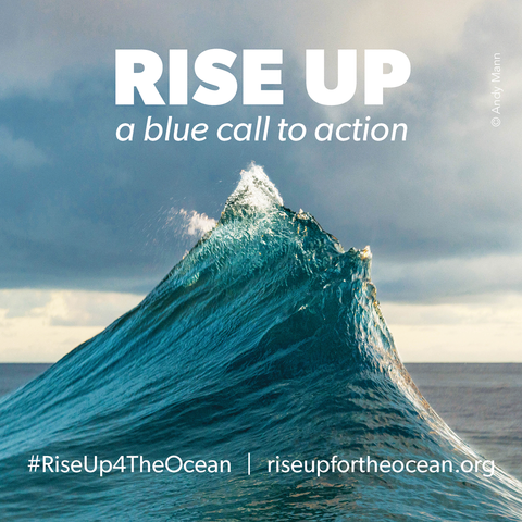 La Food Forest becomes official supporter of RISE UP for the ocean!